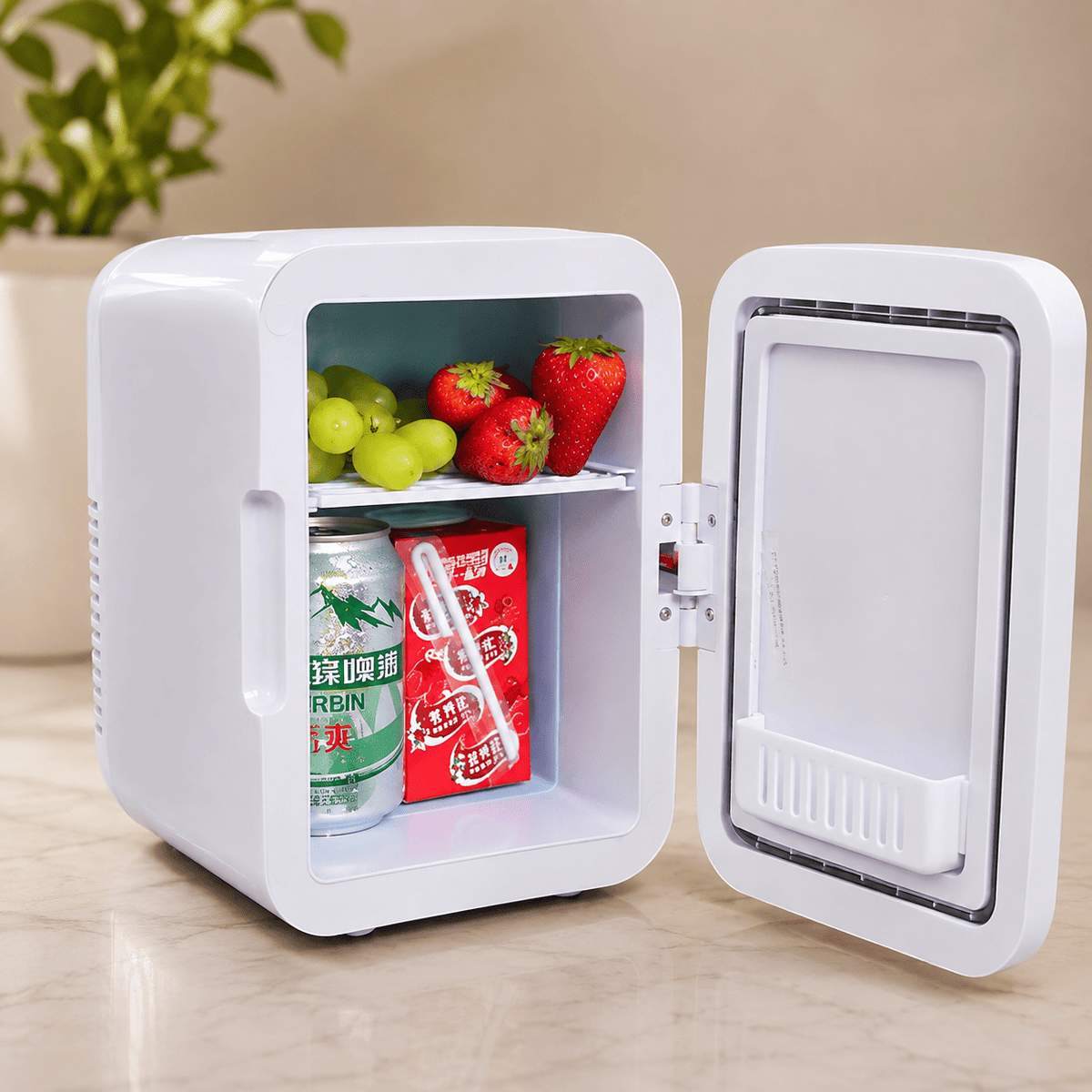 Portable makeup fridge with adjustable LED mirror light